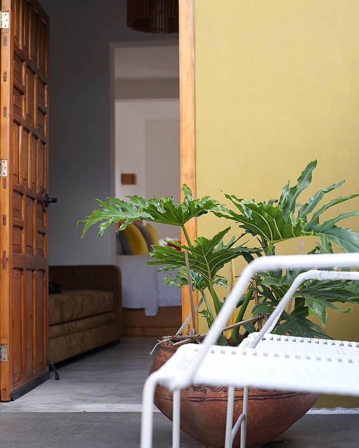 Hotel Casa Cafeólogo San Cristóbal de Las Casas Exterior foto